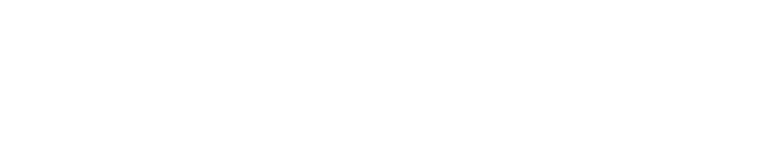 success-logo-white